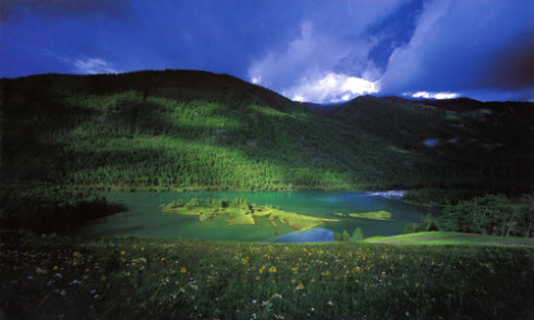 山西省方山县碳汇造林项目