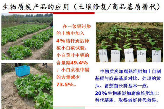 仟亿达生物质气化发电带来的社会效益