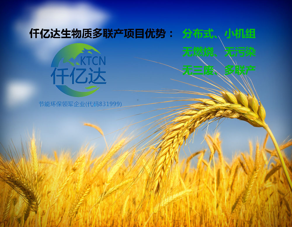 仟亿达集团生物多联产项目
