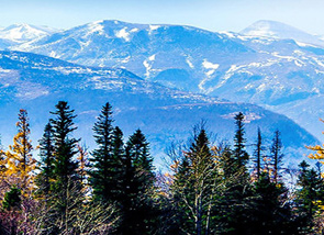 长白山森工集团大石头林业碳汇项目